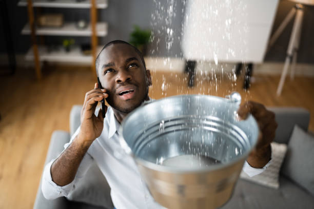 Best Mold removal after water damage  in Grifton, NC