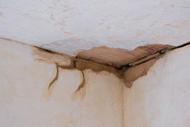 Best Flood restoration services  in Grifton, NC