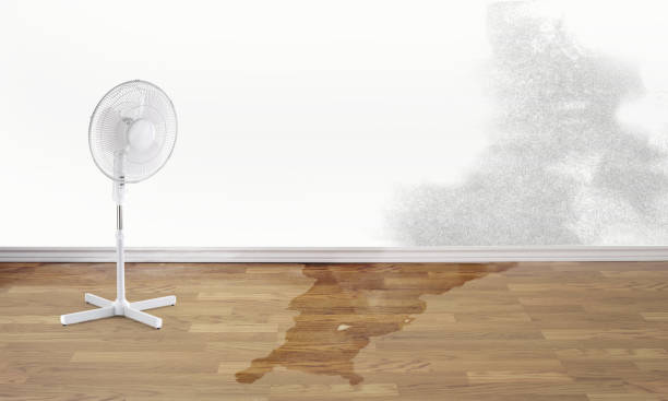 Best Fire Damage Restoration  in Grifton, NC