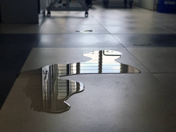 24/7 water damage repair in Grifton, NC
