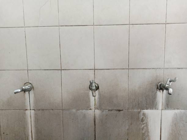 Best Sewage cleanup and water damage restoration  in Grifton, NC