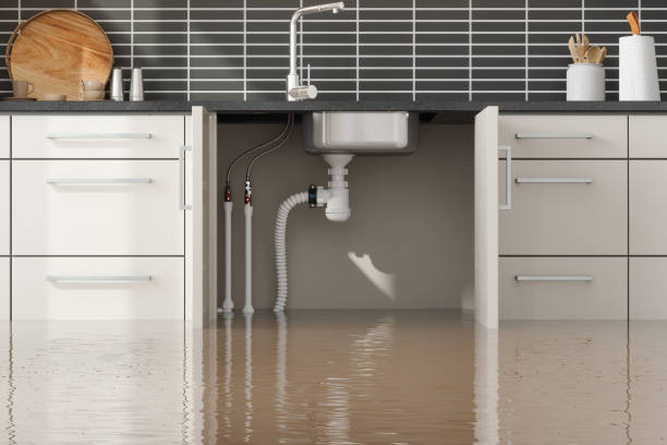 Best Flood damage cleanup  in Grifton, NC