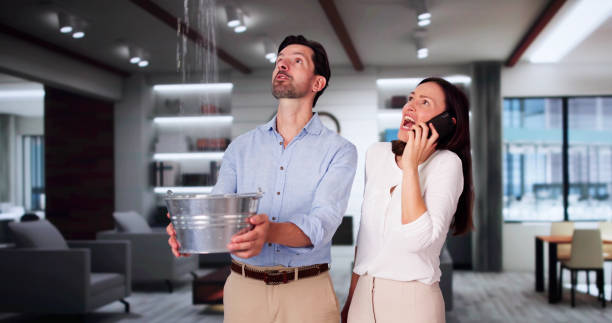 Reliable Grifton, NC Water damage restoration Solutions